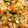 Idylle♡'s cooksnap of when they made ♪食がすすむ♪キムチの素で簡単野菜キムチ.
