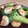 JackFruits's cooksnap of when they made ⭐海老とブロッコリーのとろみ中華炒め⭐.