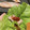 naganyo's cooksnap of when they made サムギョプサルのたれ2種.