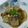 なべしま's cooksnap of when they made 新玉ねぎと豚バラのうま辛煮.