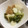 ひまわり６号's cooksnap of when they made 旬のかぶを丸ごと使ったほっこり煮物.