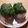 ひよこまめ52's cooksnap of when they made お弁当や麺類と◎梅と大葉の胡麻塩おにぎり.