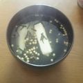 あおちゃん's cooksnap of when they made お正月に♪焼き餅＋お茶漬け＝簡単お雑煮！.
