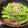 jakomama's cooksnap of when they made 簡単☆ししとう＆ちりめんじゃこの甘辛炒め.