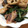 春巻きママ's cooksnap of when they made 簡単ほうれん草とベーコンのバター炒め.
