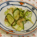 youtapapa's cooksnap of when they made キャベツときゅうりとみょうがの浅漬け.
