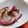 saalalan's cooksnap of when they made 赤かぶらの浅漬け.