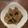 クック9WK1J8☆'s cooksnap of when they made 玉ねぎ効いてる☆豚スペアリブの煮込み.