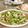 ばぢこ's cooksnap of when they made おうちフレンチ　生ハムラデッシュのサラダ.