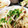 クッキン坊主's cooksnap of when they made 超簡単で美味しい★もやしの卵炒め.