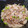 akoreana's cooksnap of when they made ＊鮭とごぼうの炊き込みごはん＊.