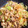 まぁくんのハニー🍯's cooksnap of when they made 完全再現！ほっともっとの肉野菜炒め.