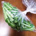 あたりめっこ's cooksnap of when they made 冷凍ストック☆蕪の葉っぱの冷凍保存.