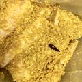春ぐり's cooksnap of when they made 大根の玄米漬け（保存漬け）.