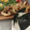 shii−☆'s cooksnap of when they made カフェ風唐揚げプレート.