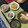 ぐりtoぐら's cooksnap of when they made 甘栗と切り餅いれるだけ甘栗ごはん.