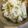 Sat2513's cooksnap of when they made 枝豆ごはん.