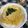 Rionaのおうち飯's cooksnap of when they made あご出汁で作る☆簡単たまご丼.