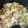 マッッッッッチ's cooksnap of when they made 簡単旨い☆白菜旨煮.