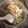 クックZ8J4H4☆'s cooksnap of when they made 生姜たっぷり♪お味噌汁.