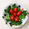 さおりらっくま's cooksnap of when they made レタスとプチトマトの簡単サラダ♪.