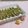 みかかめ's cooksnap of when they made ししゃもの青のりパン粉焼き.