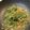 ムニェキータ's cooksnap of when they made 豆苗ツナ卵炒め.