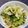 ひとみn♪'s cooksnap of when they made すぐ出来る！簡単・本格「白菜の即席漬け」.