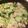 ちーちゃんキッチン's cooksnap of when they made 簡単！チンゲン菜と卵の中華炒め♥.
