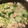 ちーちゃんキッチン's cooksnap of when they made 簡単！チンゲン菜と卵の中華炒め♥.