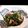ぷにぷに～mama's cooksnap of when they made ほうれん草としめじの塩さば和え.