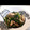 ぷにぷに～mama's cooksnap of when they made ほうれん草としめじの塩さば和え.