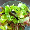 ゆなほむcrea's cooksnap of when they made レタスとのりのさっぱりサラダ.