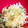 メリー・モコ's cooksnap of when they made そうめん瓜の柚子胡椒をきかせたサラダ.
