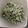 ma___111's cooksnap of when they made 私の水菜の梅マヨサラダ.