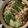 tetricot's cooksnap of when they made 鍋の素なしで絶品もつ鍋（醤油味）.
