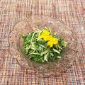 なつき☆ミ's cooksnap of when they made 紫蘇香る水菜サラダ.