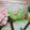 まみぃぃぃる's cooksnap of when they made 簡単♡ちくわとかまぼこお花色々♡お弁当.