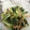 クックJCAEH8☆'s cooksnap of when they made 小松菜のえごま和え.