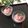 ハント☆'s cooksnap of when they made 塩酒粕でうまうま♪トマトの丸ごと漬け.