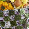 fleur＊miho's cooksnap of when they made (σ・∀・)σ可愛い【市松模様の海苔弁】.