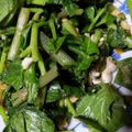 chan2ko's cooksnap of when they made 簡単！苦味が絶品！明日葉の卵とじ.