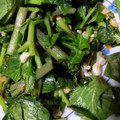 chan2ko's cooksnap of when they made 簡単！苦味が絶品！明日葉の卵とじ.