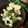 haruku221's cooksnap of when they made 簡単時短！高野豆腐のちらし寿司.
