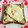 ebipeco's cooksnap of when they made 朝食めちゃうま ツナと目玉焼きトースト.