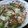 サトモユリア's cooksnap of when they made COCO♡私の中華焼きそば.