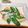ぱふ♪'s cooksnap of when they made さやえんどうのチーズパリッとろ焼き♪.