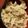 ぽんきちっちーず's cooksnap of when they made ハナビラタケのマヨ炒め.