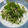 クック6DDPP8☆'s cooksnap of when they made 振るだけde激ウマ♡水菜の簡単塩昆布和え.
