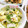 MIHO＊Akmt's cooksnap of when they made だしの素で即席ゆず白菜.